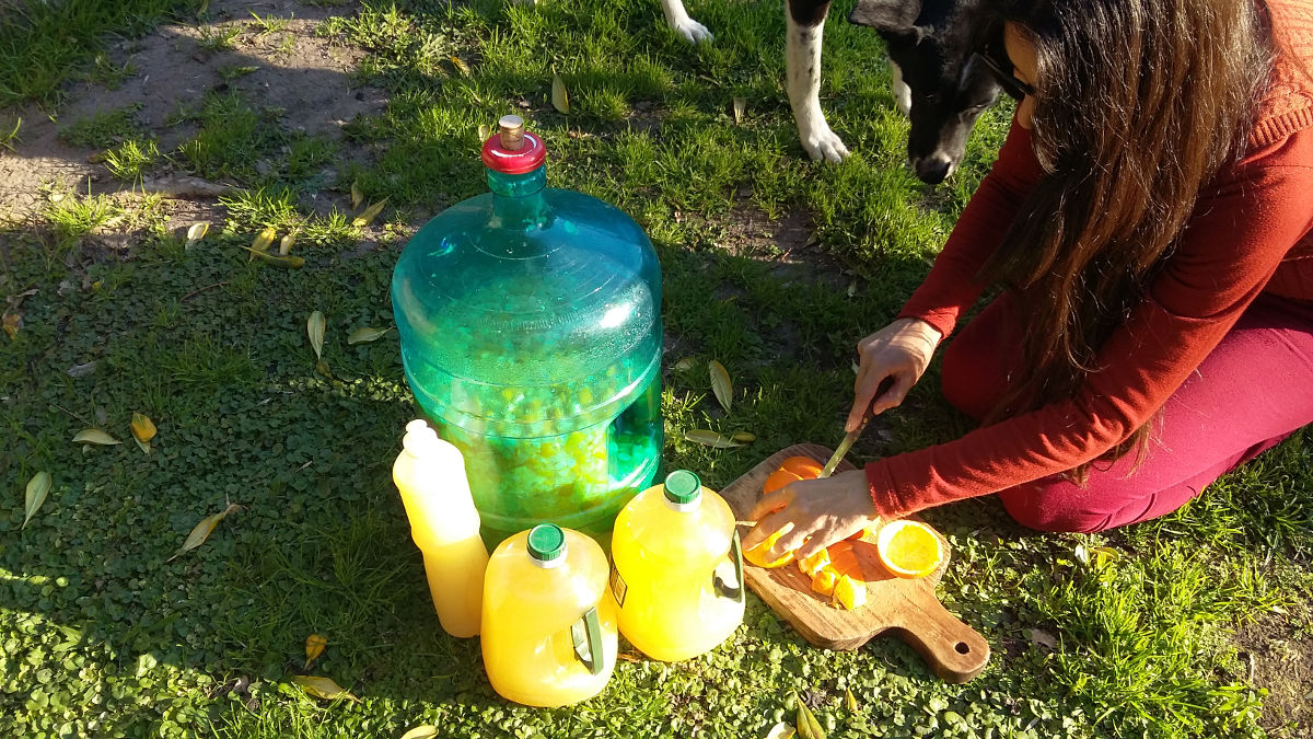 Preparación del detergente ecológico de naranjas